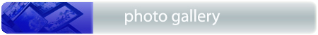photo gallery.jpg